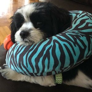 Meet your Posher, Briana